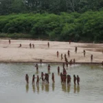 Appearance of World's Largest Isolated Tribe