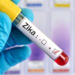 Zika Virus